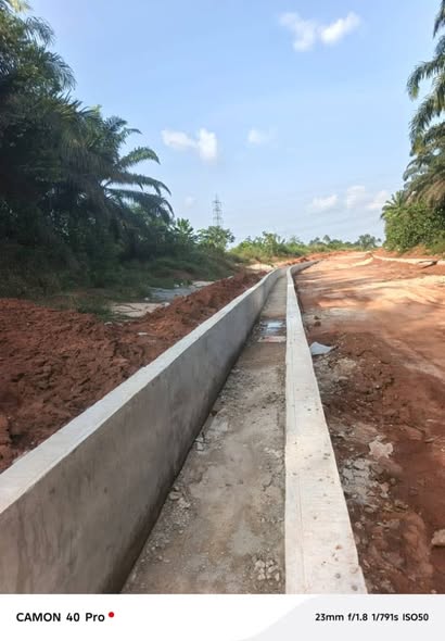 Project Image 1