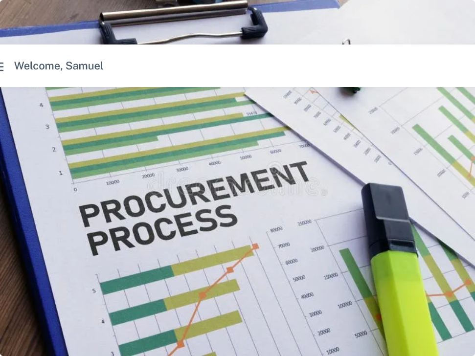 Delta State Public Procurement Guidelines