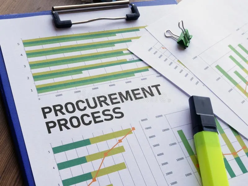 Delta State Public Procurement Guidelines